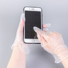 Transparent PVC Latex Vinyl Disposable Examination Gloves