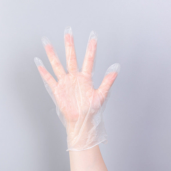 Transparent PVC Latex Vinyl Disposable Examination Gloves