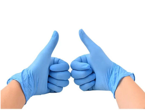 Powder Free Disposable Examination Gloves